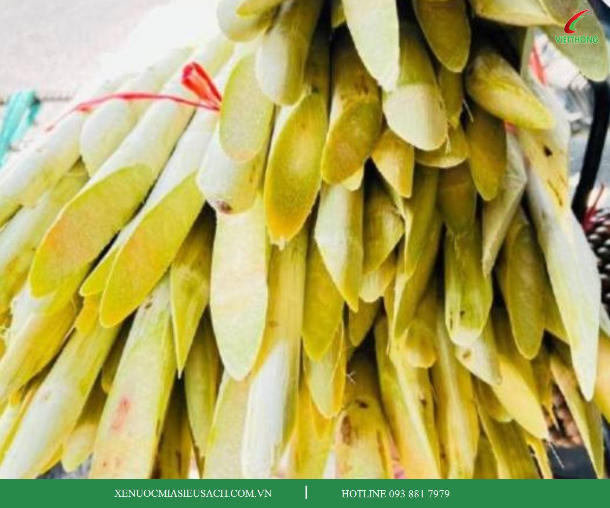 Nguyên liệu mía làm mật