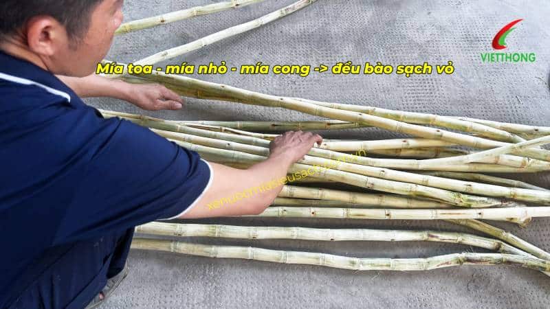 Mía toa - mía nhỏ - mía cong -> đều bào sạch vỏ sau 1 lần